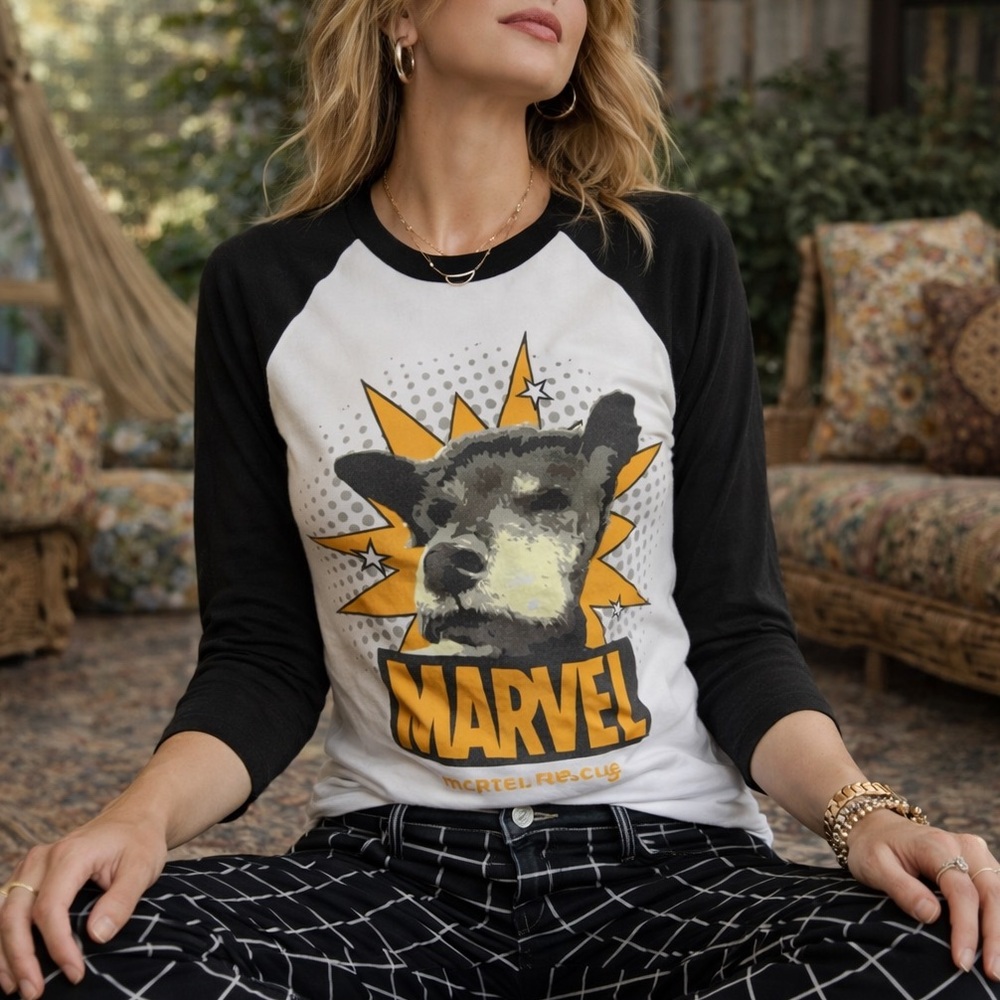 American Apparel Marvel Raglan Baseball Tee Terrier Dog Graphic XS